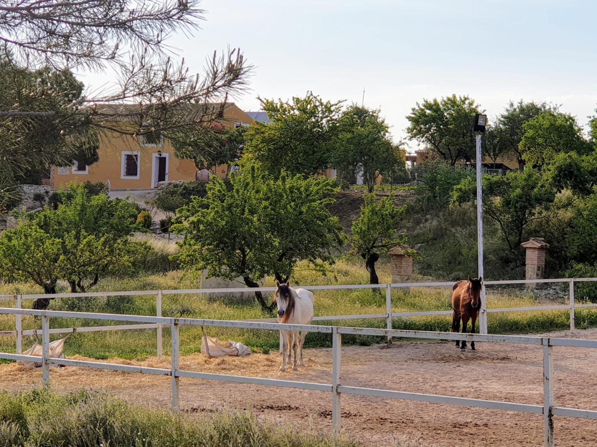Complejo Rural Las Lomas De بيار المظهر الخارجي الصورة