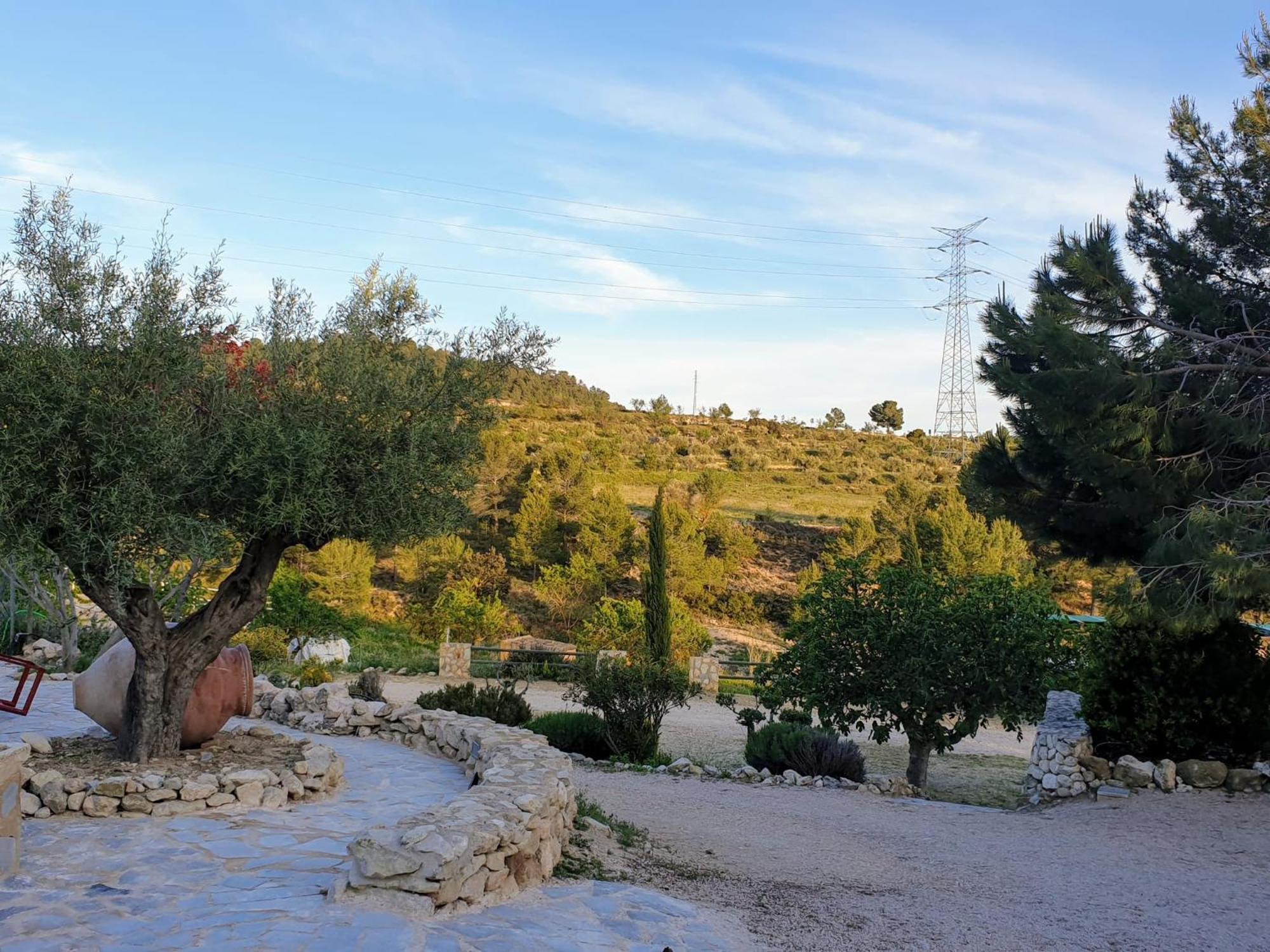 Complejo Rural Las Lomas De بيار المظهر الخارجي الصورة